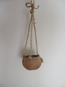 Coconut pendant - Coco Hanging