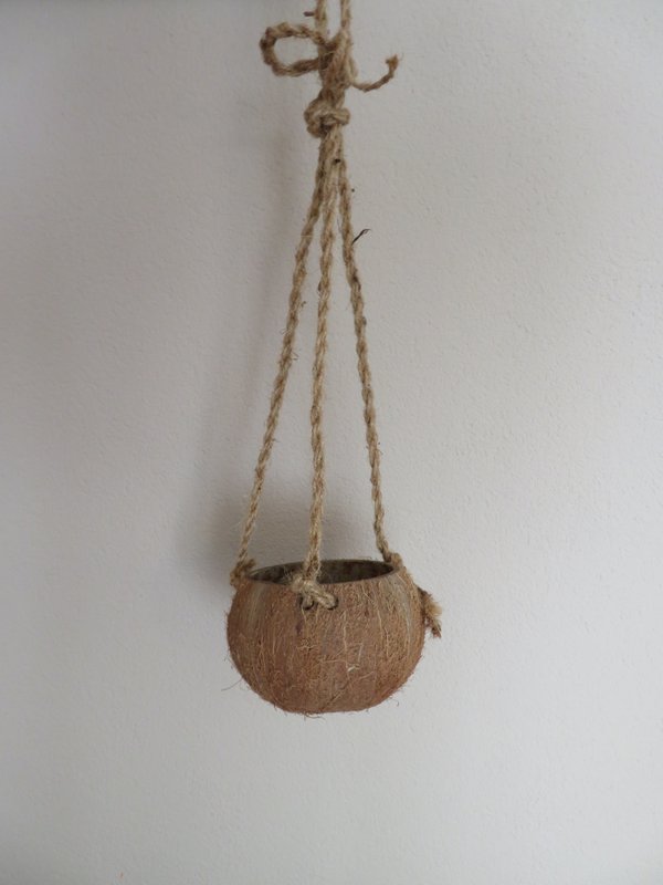 Coconut pendant - Coco Hanging