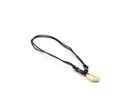 Surfketting cowry