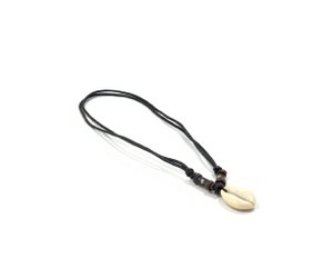 Surf chain cowry