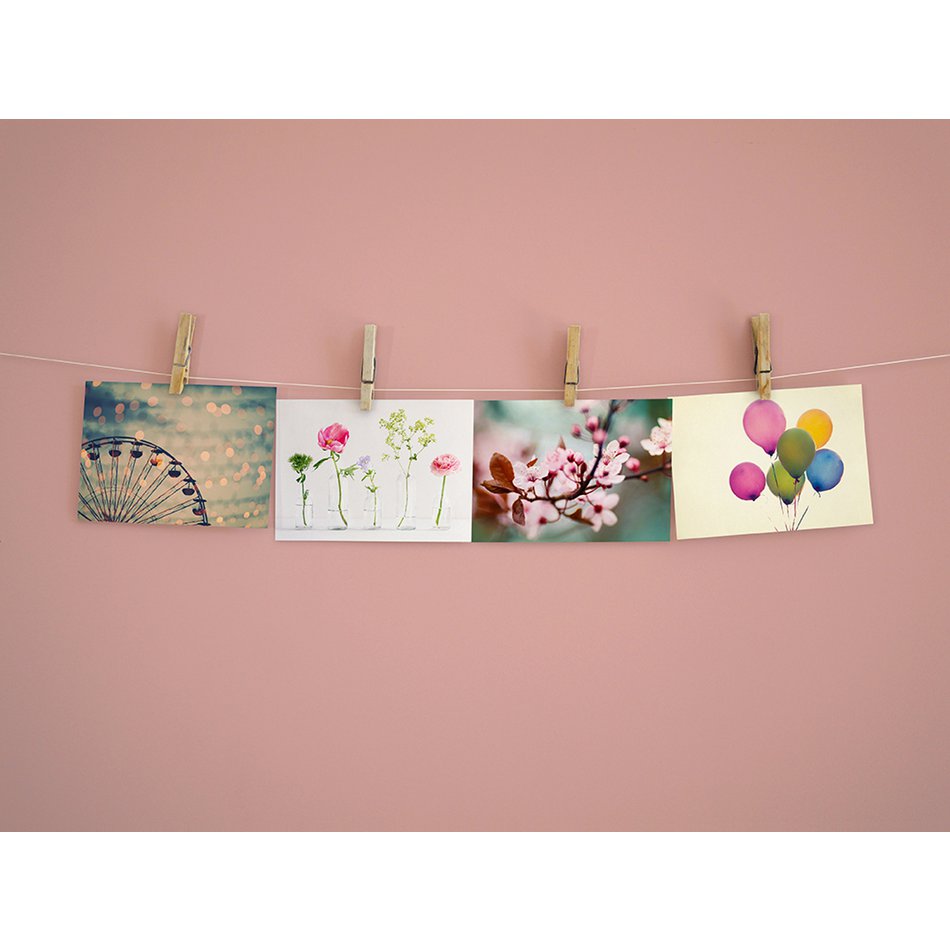 Postkarte Grußkarte Pflaumenblüte (PK_055)