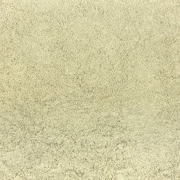 Organic Rye Flour in Bulk