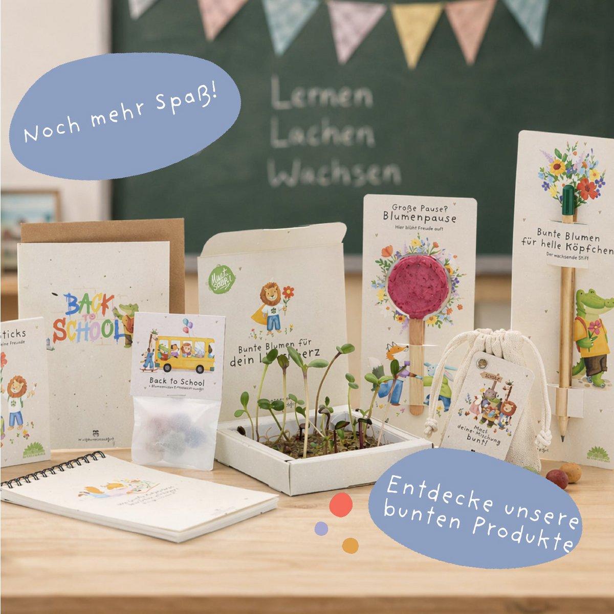 Back-to-School, 15 Saatkugeln im Baumwollbeutel