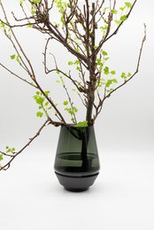 Laboratorio floral