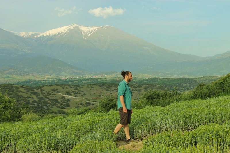 Tè greco di montagna biologico