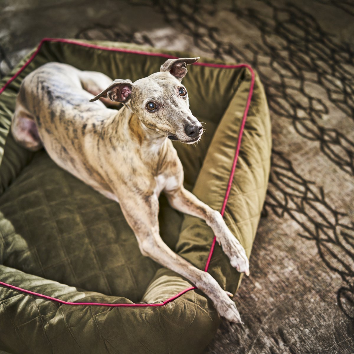 OXFORD I CLASSICO HUNDEBETT