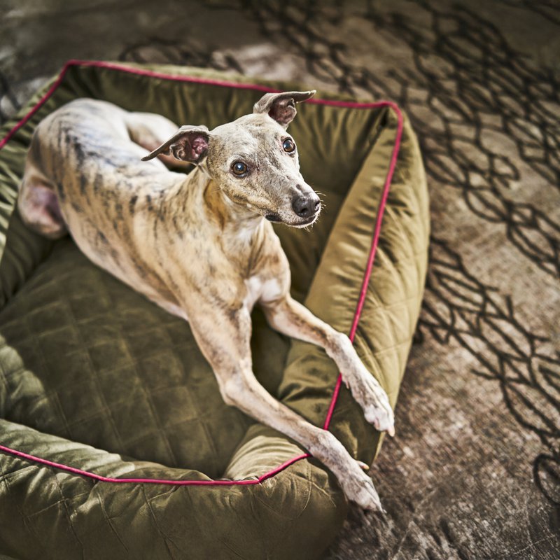 OXFORD I CLASSIC HUNDEBETT