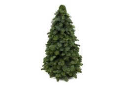 Albero di Natale - Nobilis verde - 30/40/50/60 cm