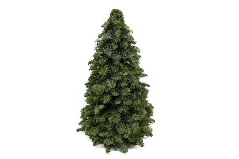 Albero di Natale - Nobilis verde - 30/40/50/60 cm