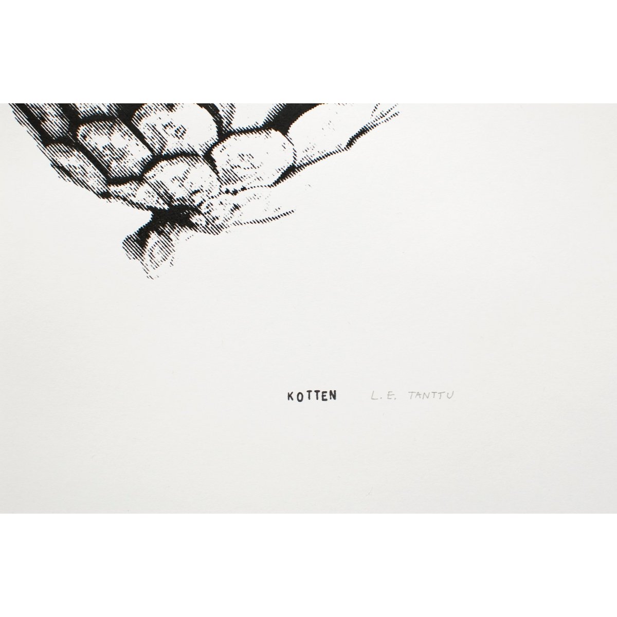 Kotten - Siebdruck