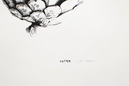 Kotten – screen print