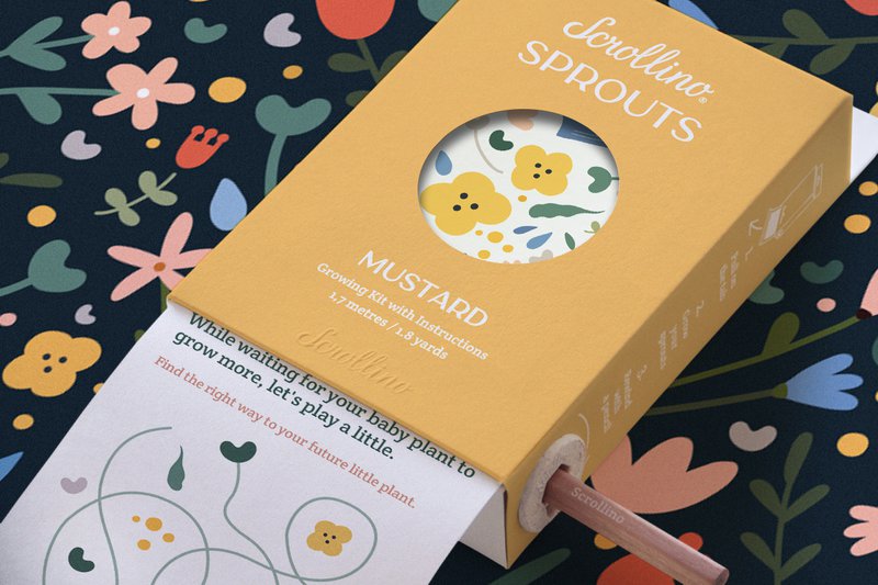 Kit in crescita con attività - SCHROLLO Mustard Sprouts