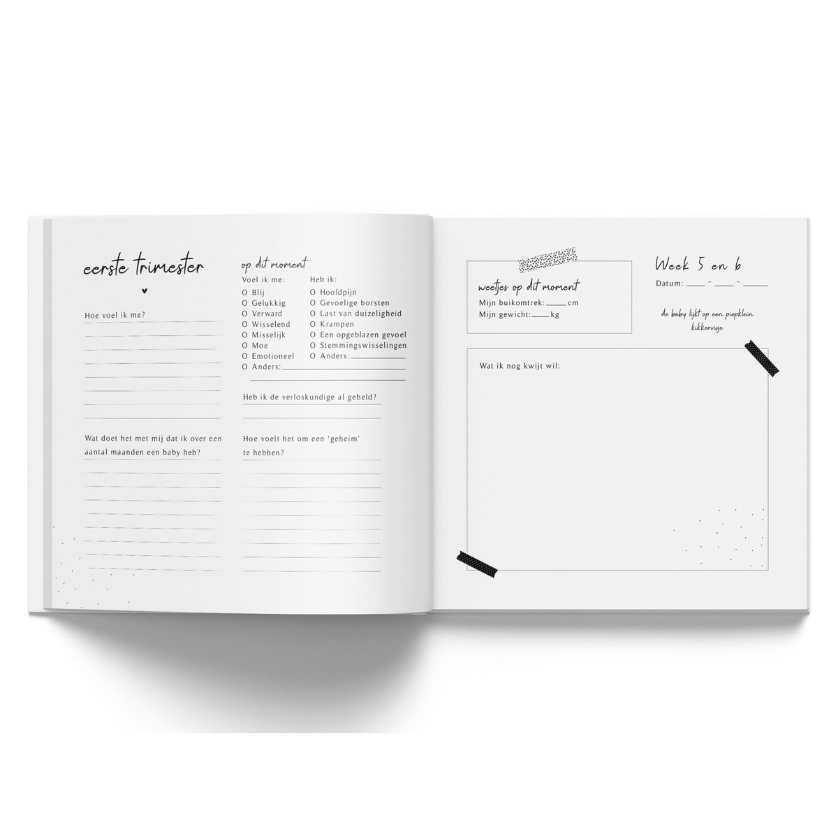 Fyllbooks mi diario de nueve meses