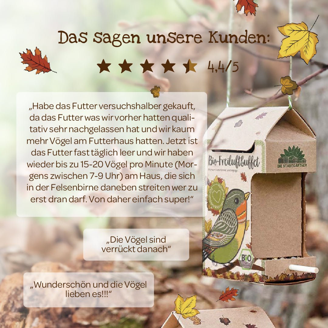 Freiluftbuffet Vögel BIO