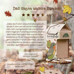 Freiluftbuffet Vögel BIO