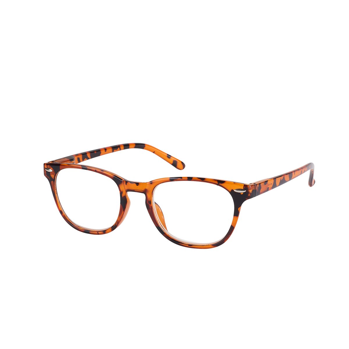 24 Lunettes Loupe de Lecture - +3.00