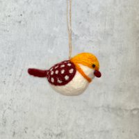 Bird spotted