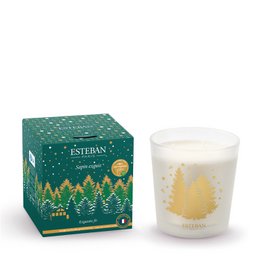 Green forest packaging, white glass jar candle, gold fir tree design, Christmas scent, cylindrical shape, luxury gift candle