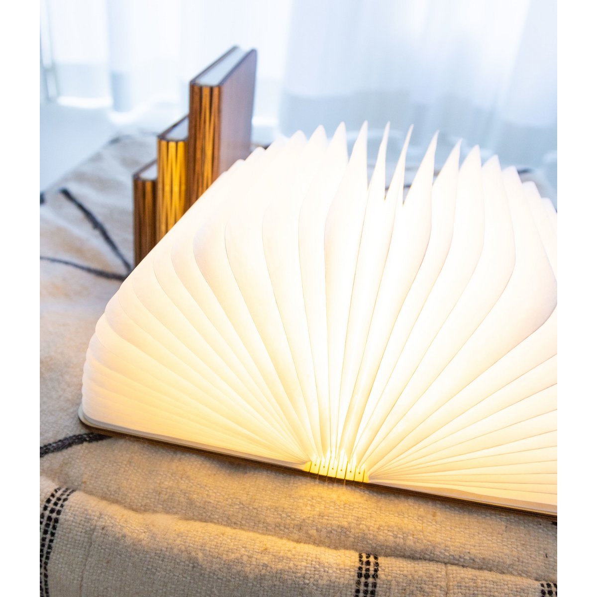 Book Lamp Walnut Brown