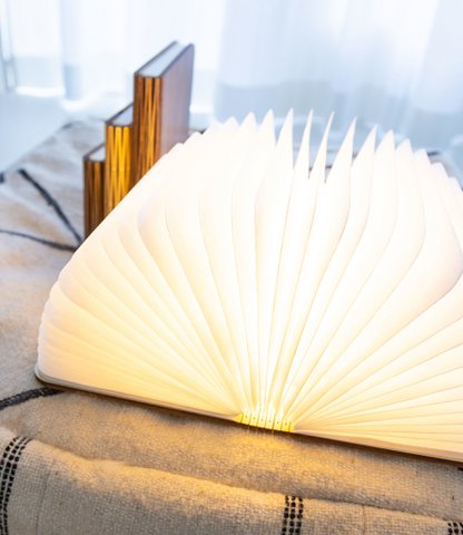 Book Lamp Walnut Brown