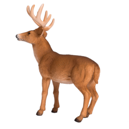 Mojo Woodland Toys White -tail Dhert Bok - 387038