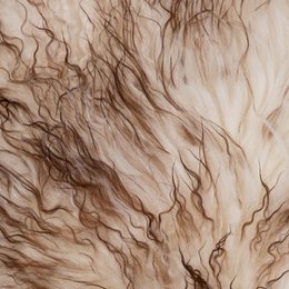 WOOOL Lammfell - Isländisch Weiß Braun CURLY