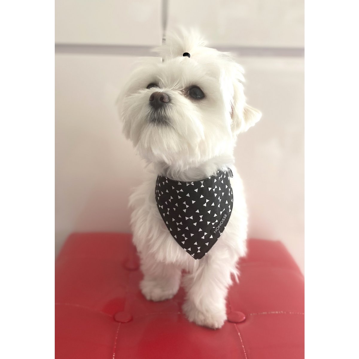 Zwart-witte "rebel" omkeerbare bandana