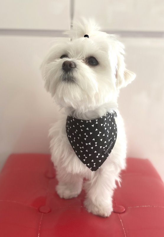 Bandana réversible "rebelle" noir & blanc