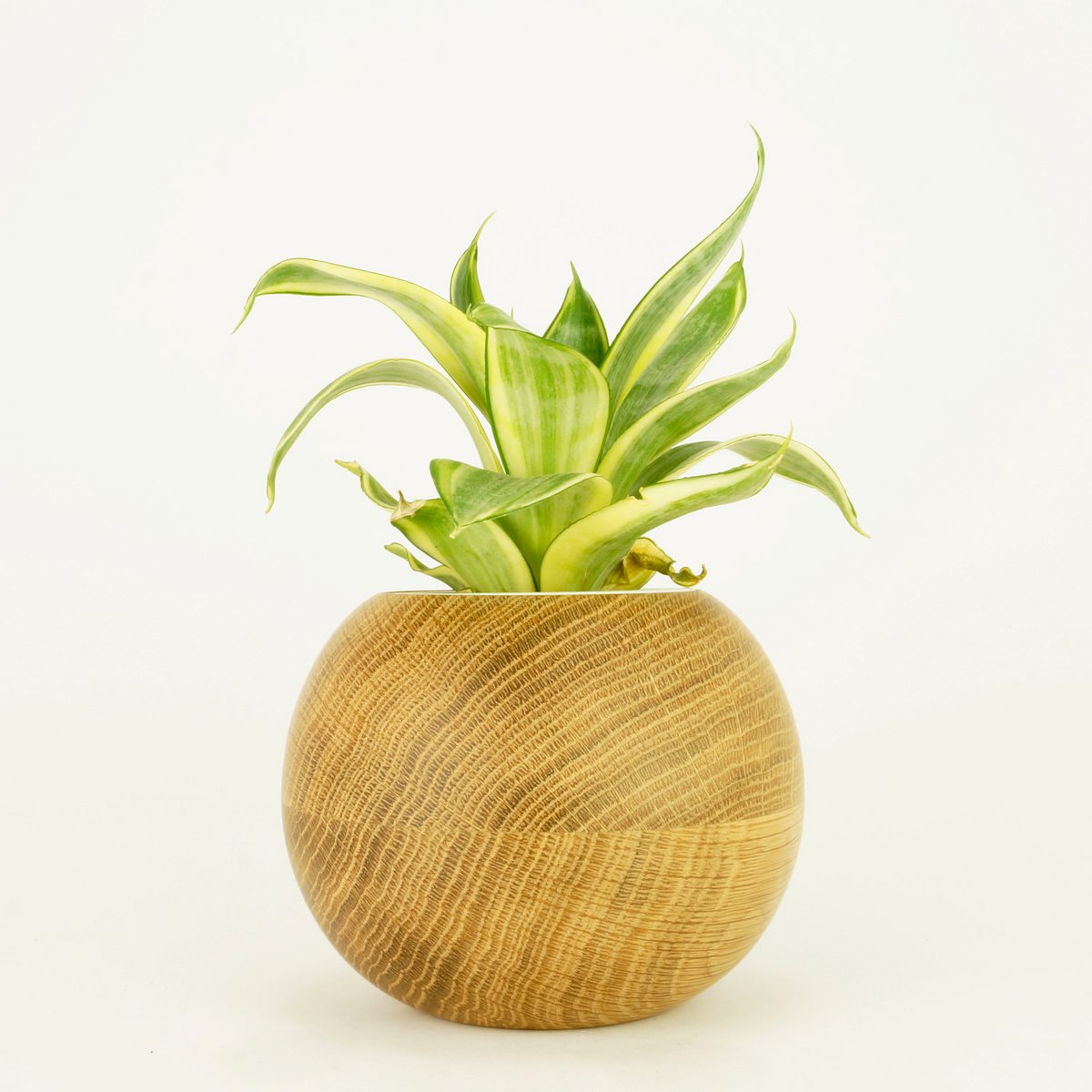 Flowerpot Sphere