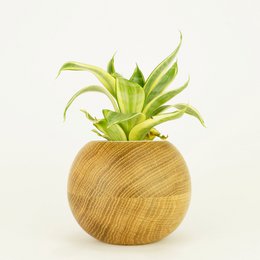Flowerpot Sphere