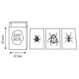 DIY Mini Art - Insects (4 pcs)