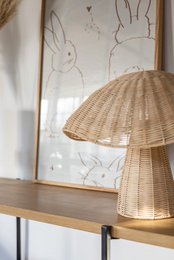 Boletus, natural mushroom table lamp