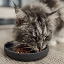 ne&no® Silikon Futterschale - Schnurrhaarfreundlich - extra flach - für Katzen