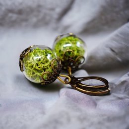 Orecchini di vero muschio - Orecchini di piante di muschio verde islandese - VINOHR-17