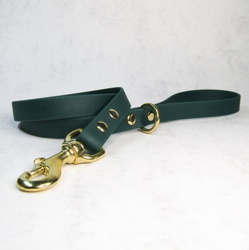 Standard dog leash