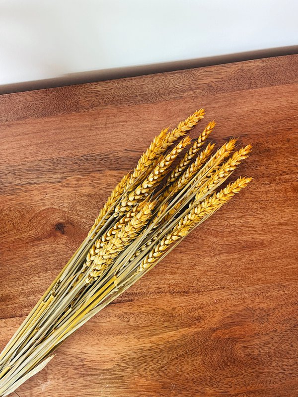 Weizengelbe Trockenblumen