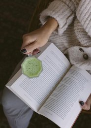 Shēdo Matcha (grado cerimoniale)