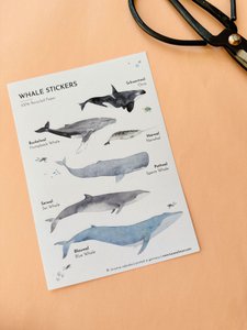 Whale stickers made from recycled paper / without PVC