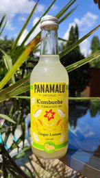 KOMBUCHA ZENZERO-LIMONE (SCATOLA DA 6 BOTTIGLIE 330ml)