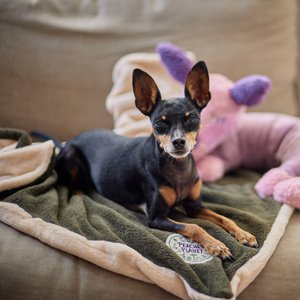 PEACHES' PLANET Cosy Moments Kuscheldecke Green Fields für Hunde