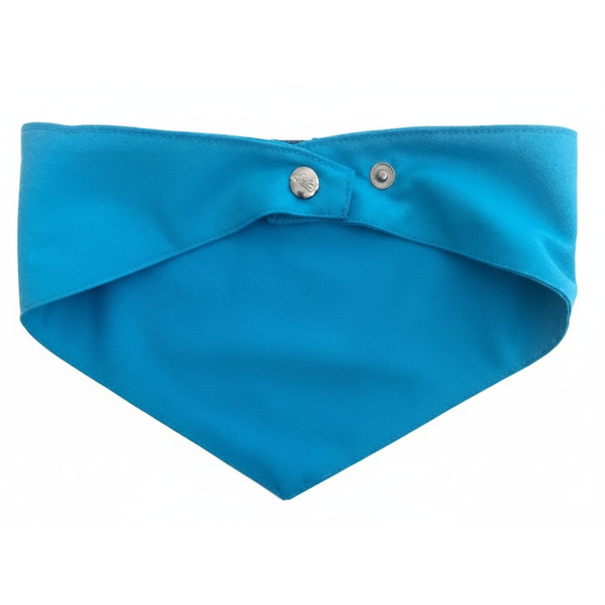 Alpha Dog "Play Hard" Cotton Dog Bandana Collection Play Blue