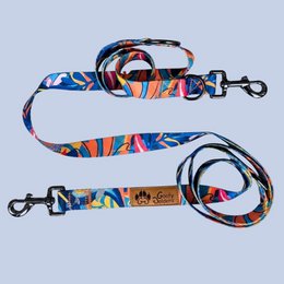 Multi-position Lagoon leash
