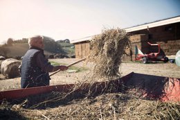🇬🇧 Rijpe pecorino 75 dagen oud – ambachtelijke schapenkaas