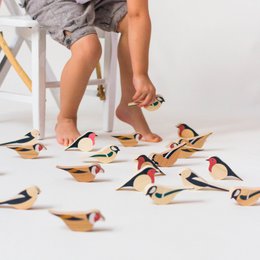 Ornamenti per uccelli - Coda lunga