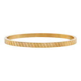 BANGLE STREPEN GESCHILDERD
