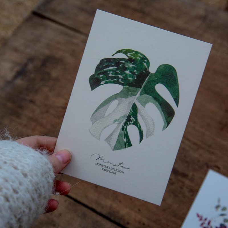 Cartolina di Monstera