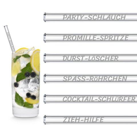 Lustige Strohhalm Namen Edition 6x 20cm Glastrinkhalme für Party Cocktails
