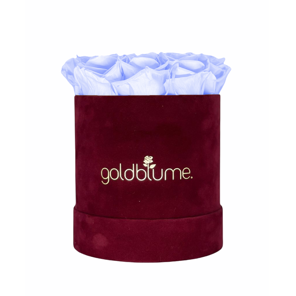 Collection Velours Bordeaux