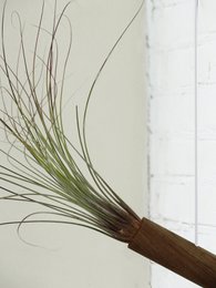 Cilindro pensile - Rovere Moro