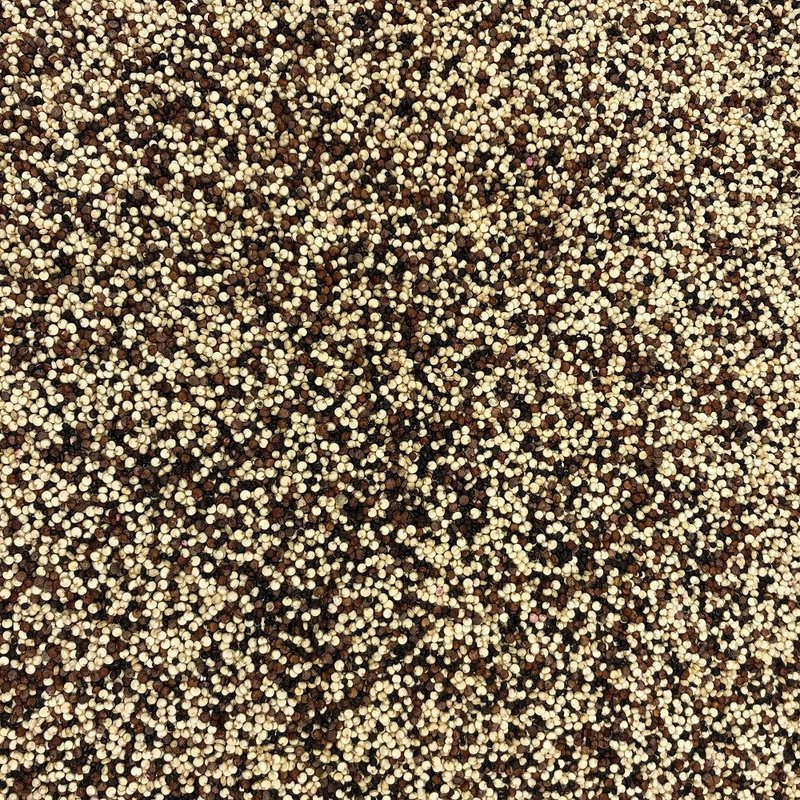 Quinoa Trio White Red Black Organic Bulk